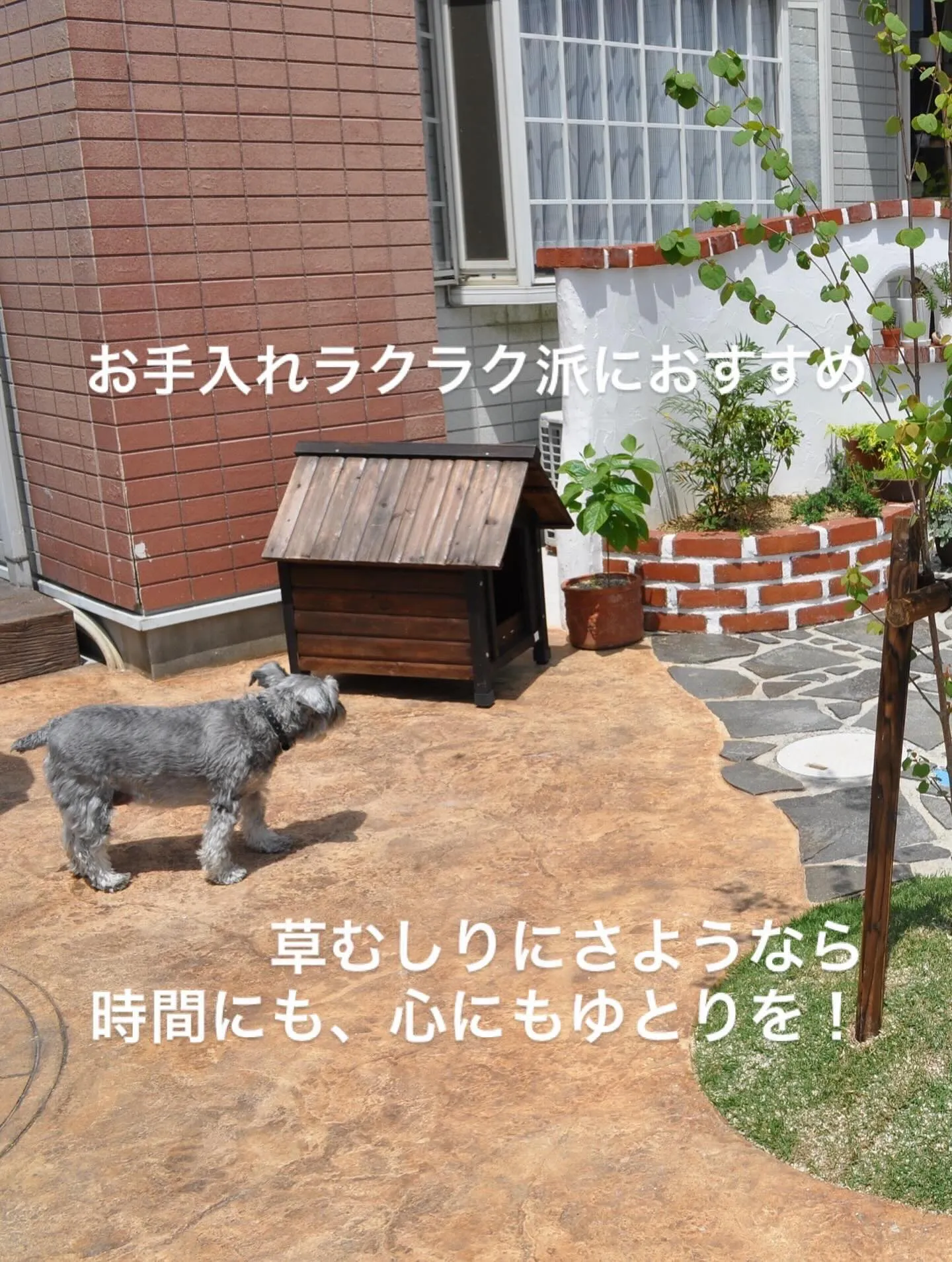 ✨初夏の庭活リフォームキャンペーン✨